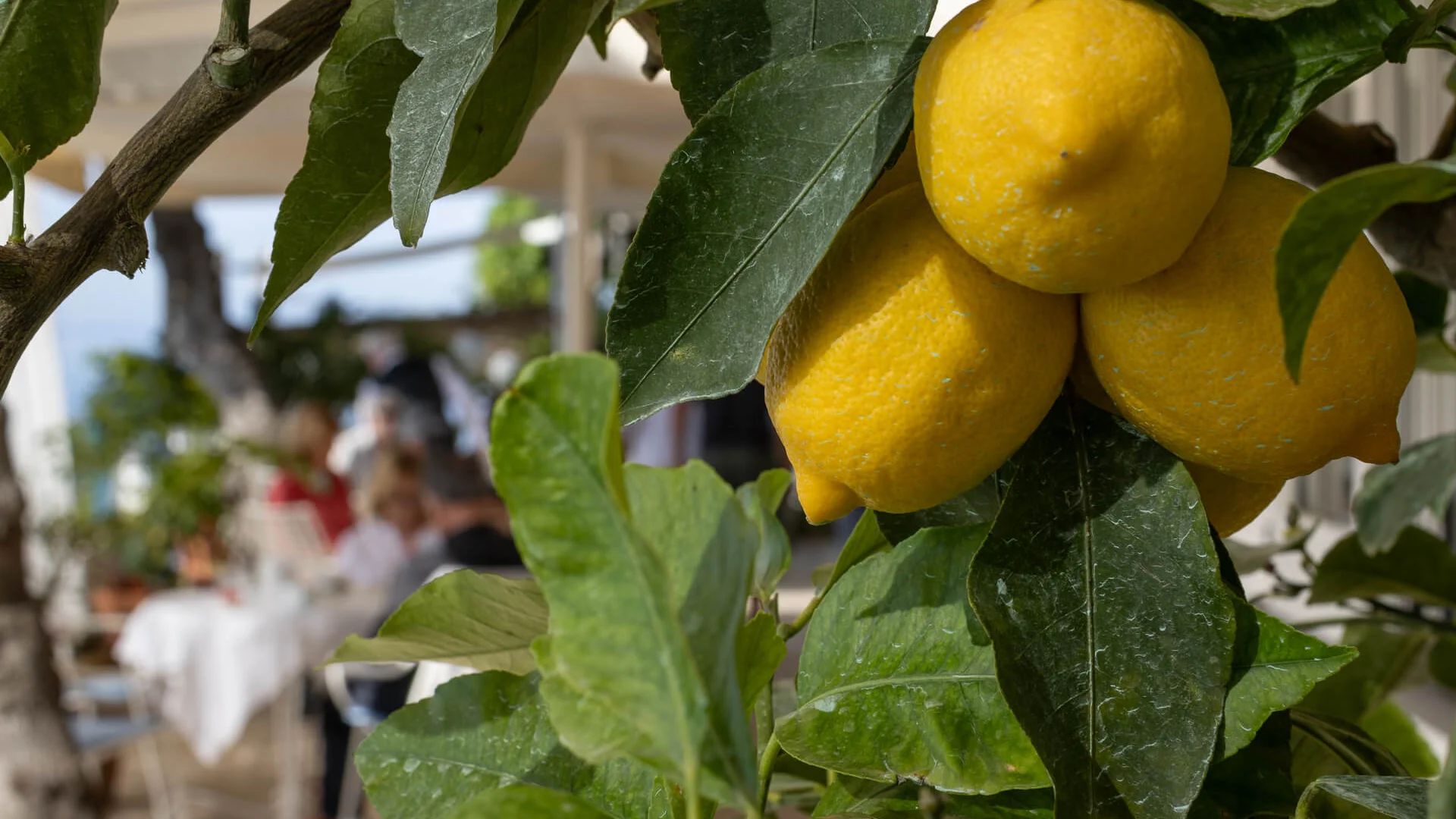 What to do on the Amalfi Coast | Experiences by Aurora