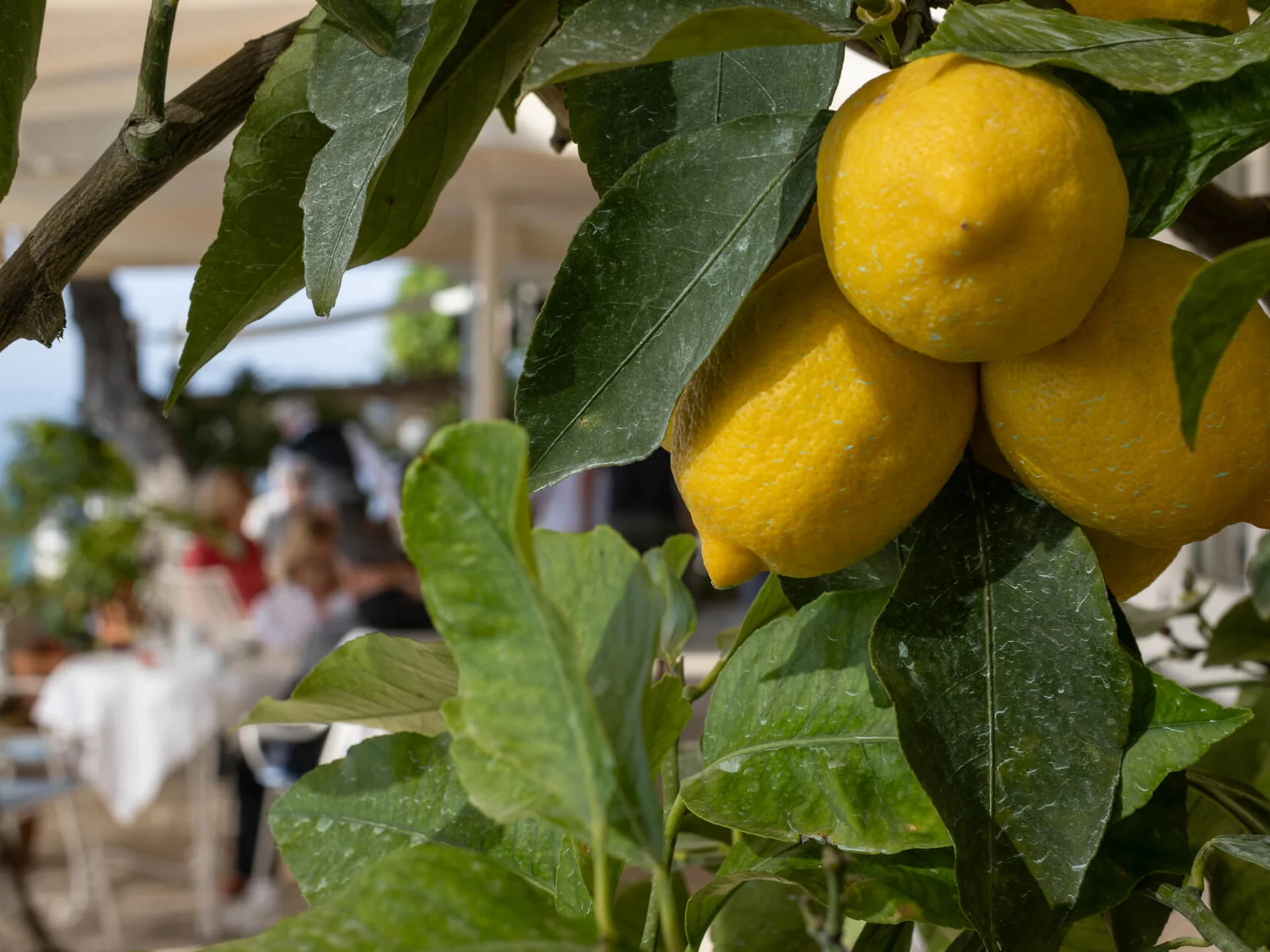 Fun facts about the Coast